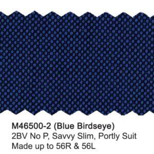 Alternative view of Blue BirdsEye Suit